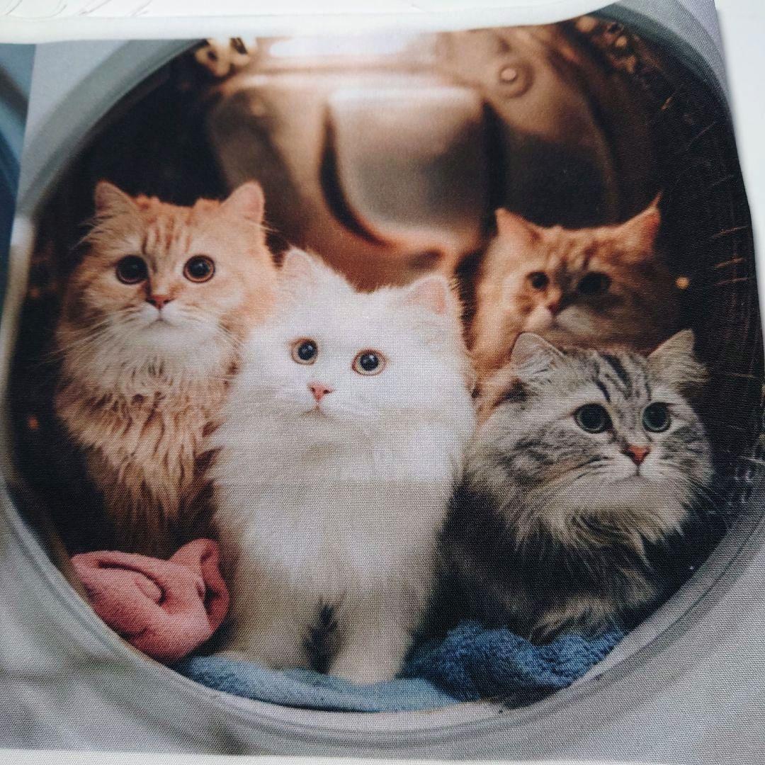 オーダー用猫ちゃんパネルサンプルページ 九