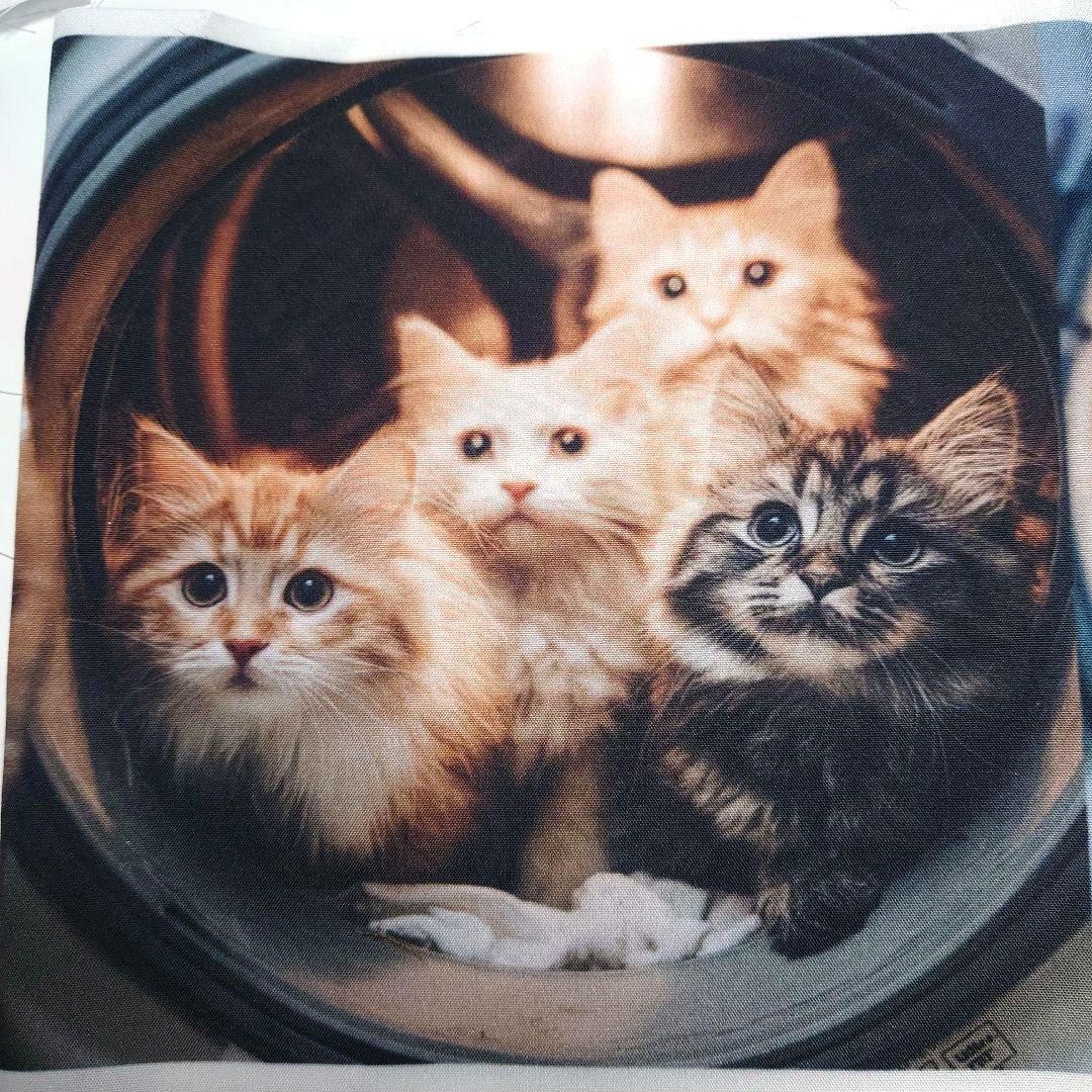 オーダー用猫ちゃんパネルサンプルページ 九