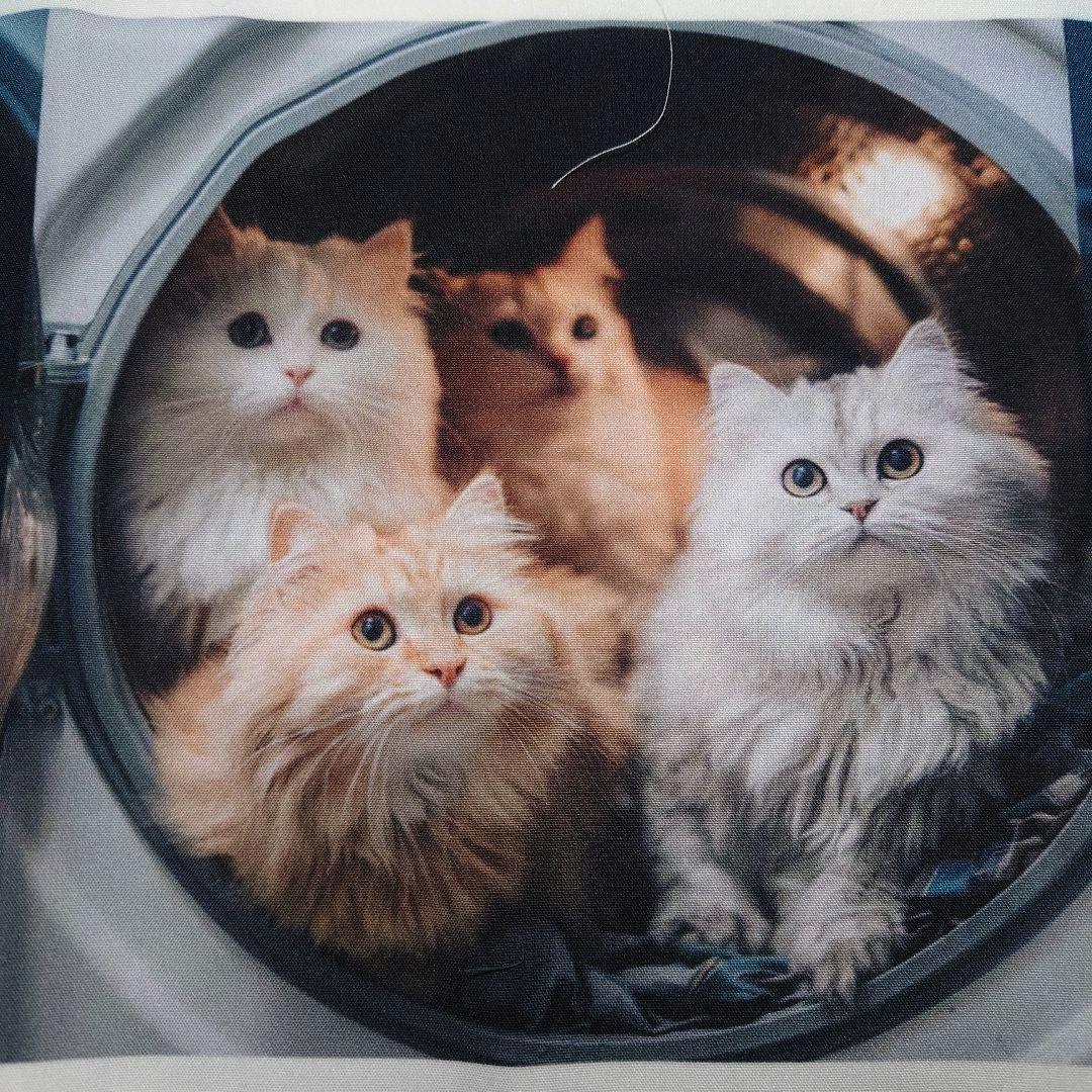 オーダー用猫ちゃんパネルサンプルページ 九