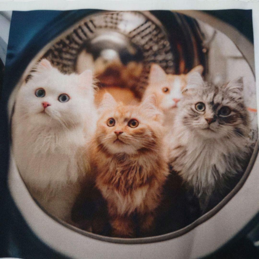 オーダー用猫ちゃんパネルサンプルページ 九