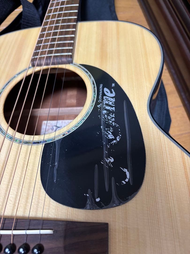アコースティックギター タカミネ ケース付き