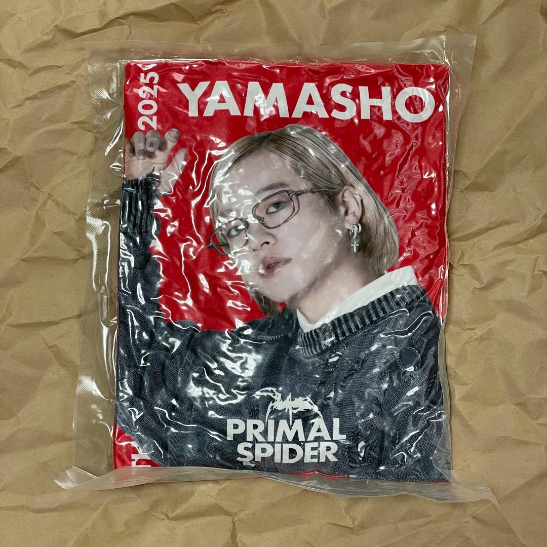 山本彰吾 クッション / レア PRIMAL SPIDER