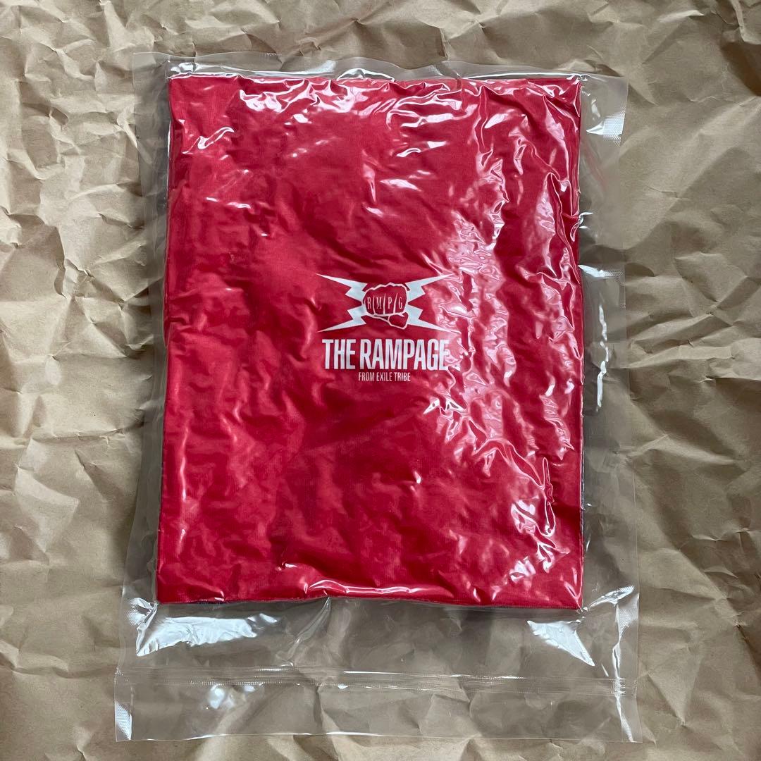 山本彰吾 クッション / レア PRIMAL SPIDER