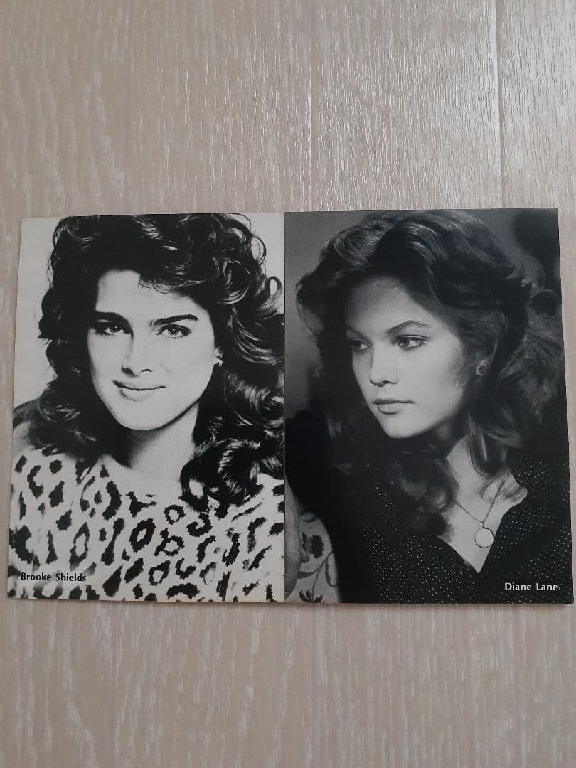 スクリーン特性ブロマイド