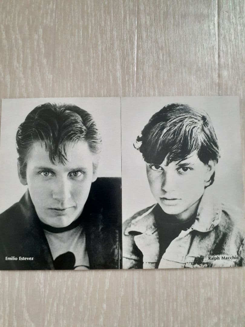 スクリーン特性ブロマイド