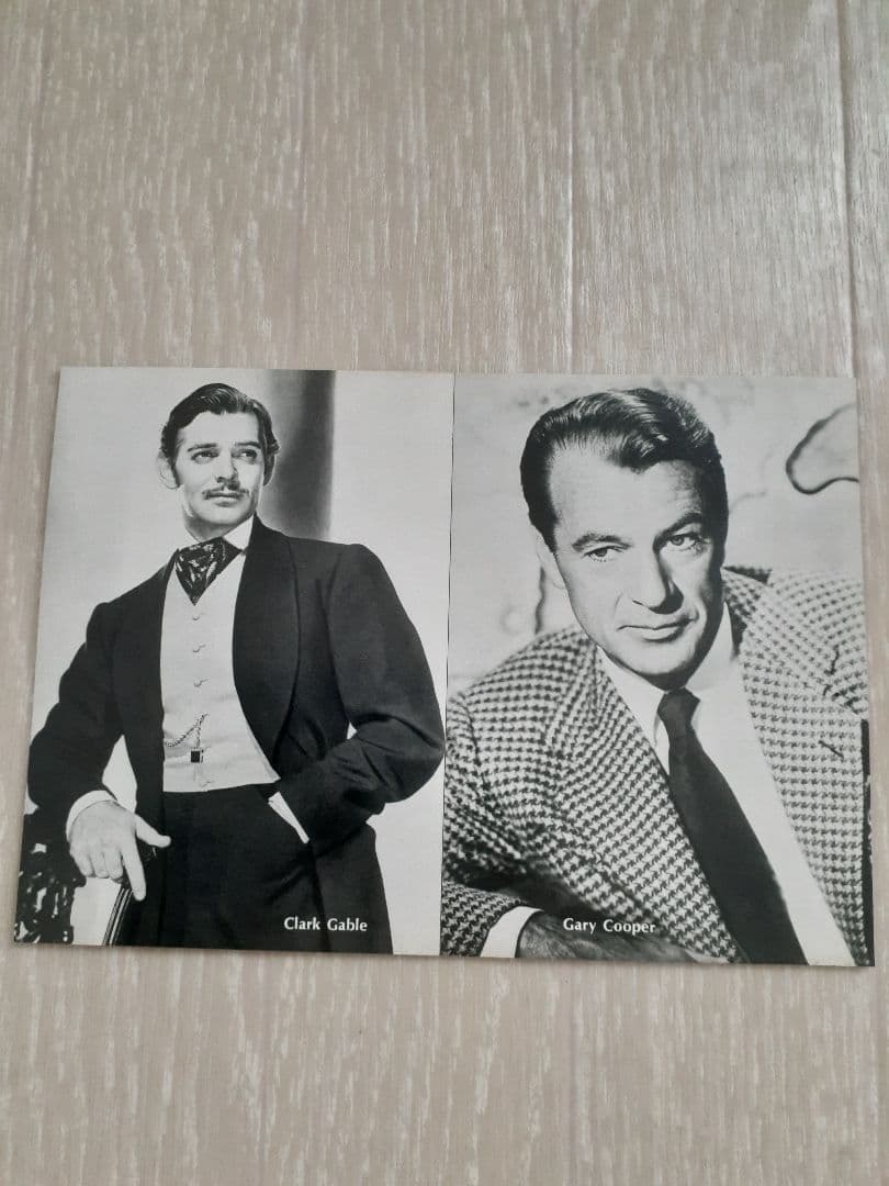 スクリーン特性ブロマイド