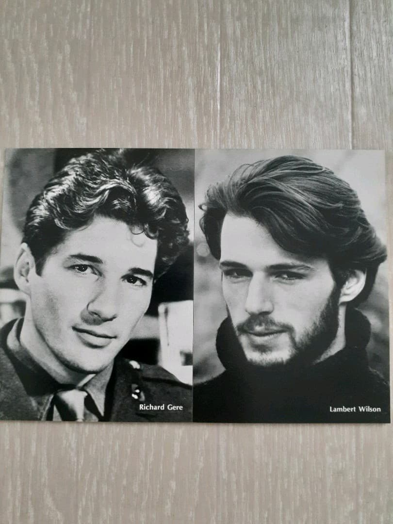 スクリーン特性ブロマイド