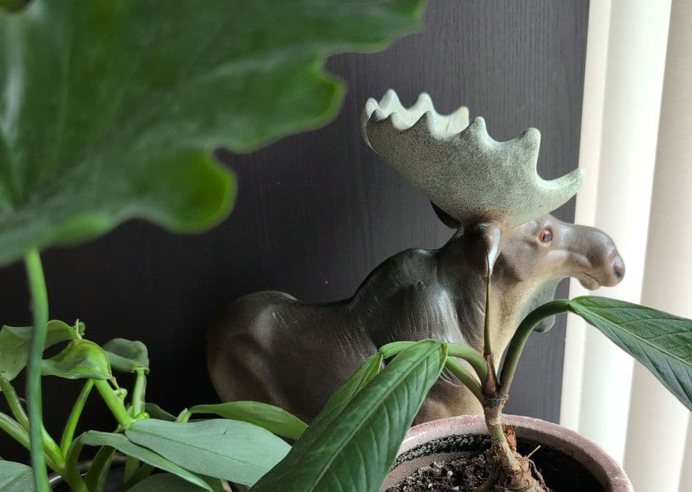 スウェーデン Nittsjo製 エルク：Thomas Hellstorm