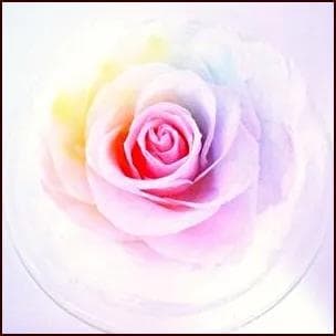 【高級プリザーブドフラワー】大輪パステルレインボーローズ 　ガラスドーム