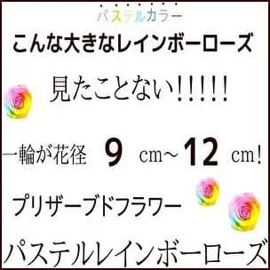 【高級プリザーブドフラワー】大輪パステルレインボーローズ 　ガラスドーム
