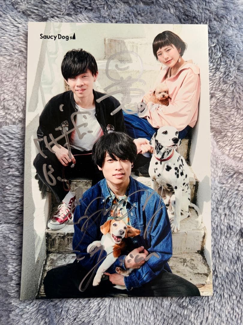 Saucy Dog サイン入りポストカード