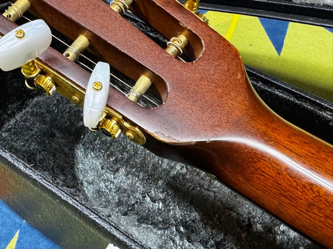 ギター Takamine PT-408