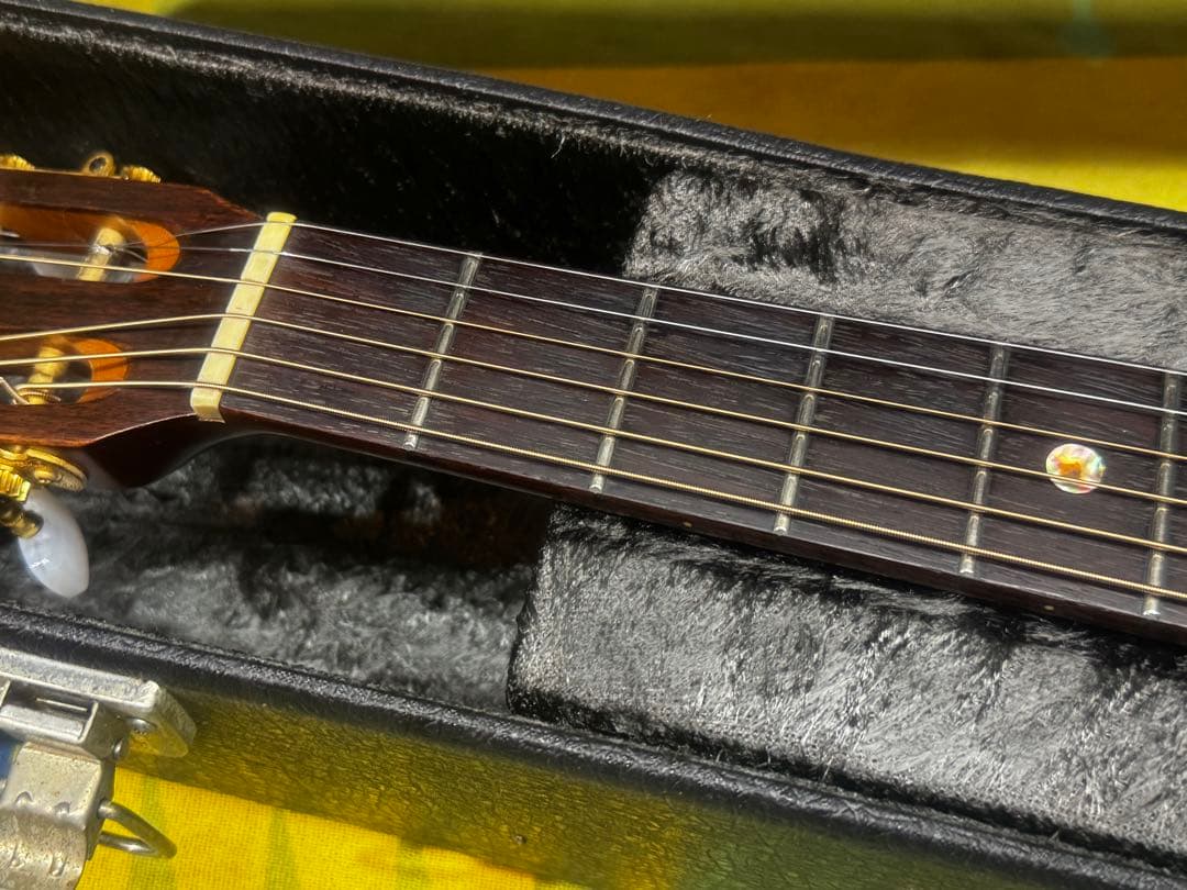 ギター Takamine PT-408