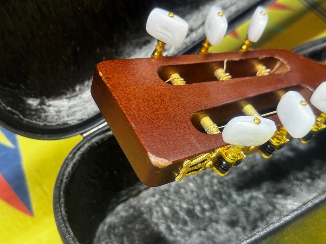 ギター Takamine PT-408