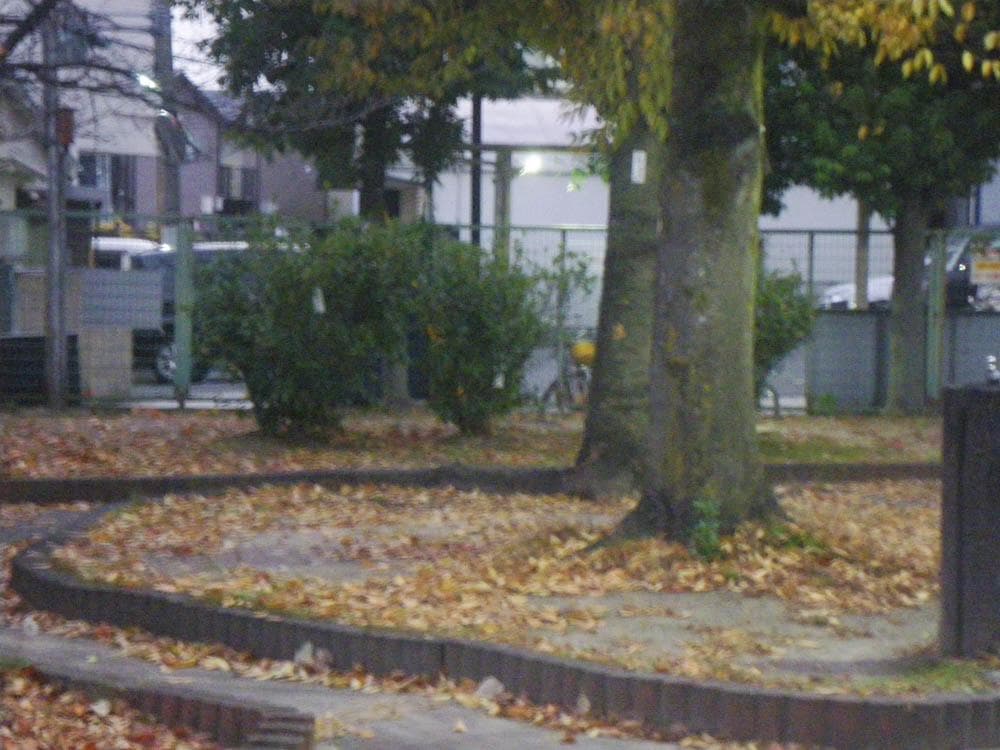 【防水カメラ】 PENTAX optio W60 シルバー 動作確認済み