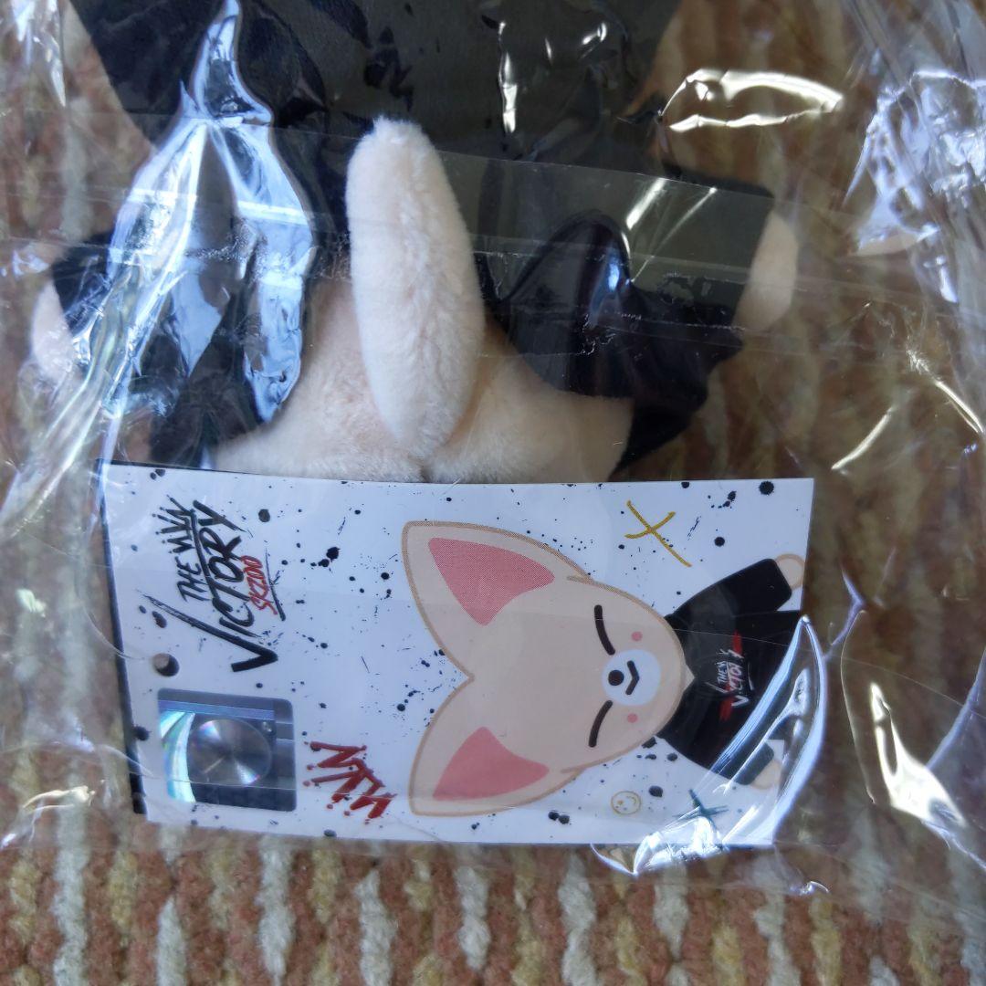 straykids IN Foxy　フォクシニー