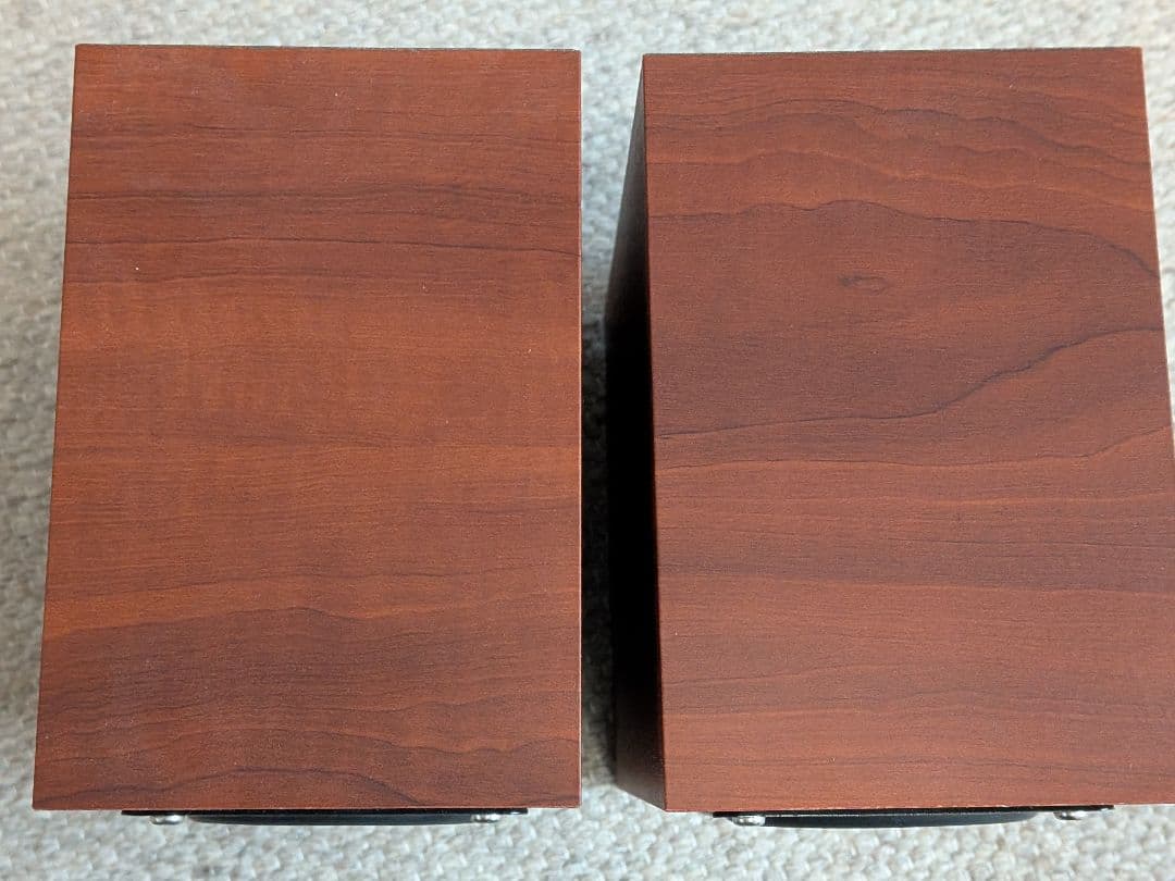 FOSTEX(フォステクス) P800-E + P800K スピーカー