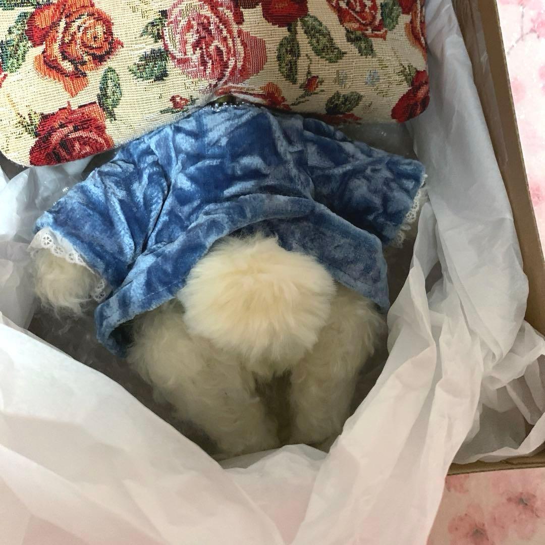 作家様 福寿梨理 アリスの白うさぎドール付きがま口ショルダーバッグ ハンドメイド