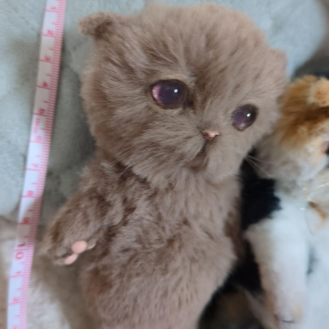 アートドール 作家 ハンドメイド 創作 国内 ぬいぐるみ たぬき 猫