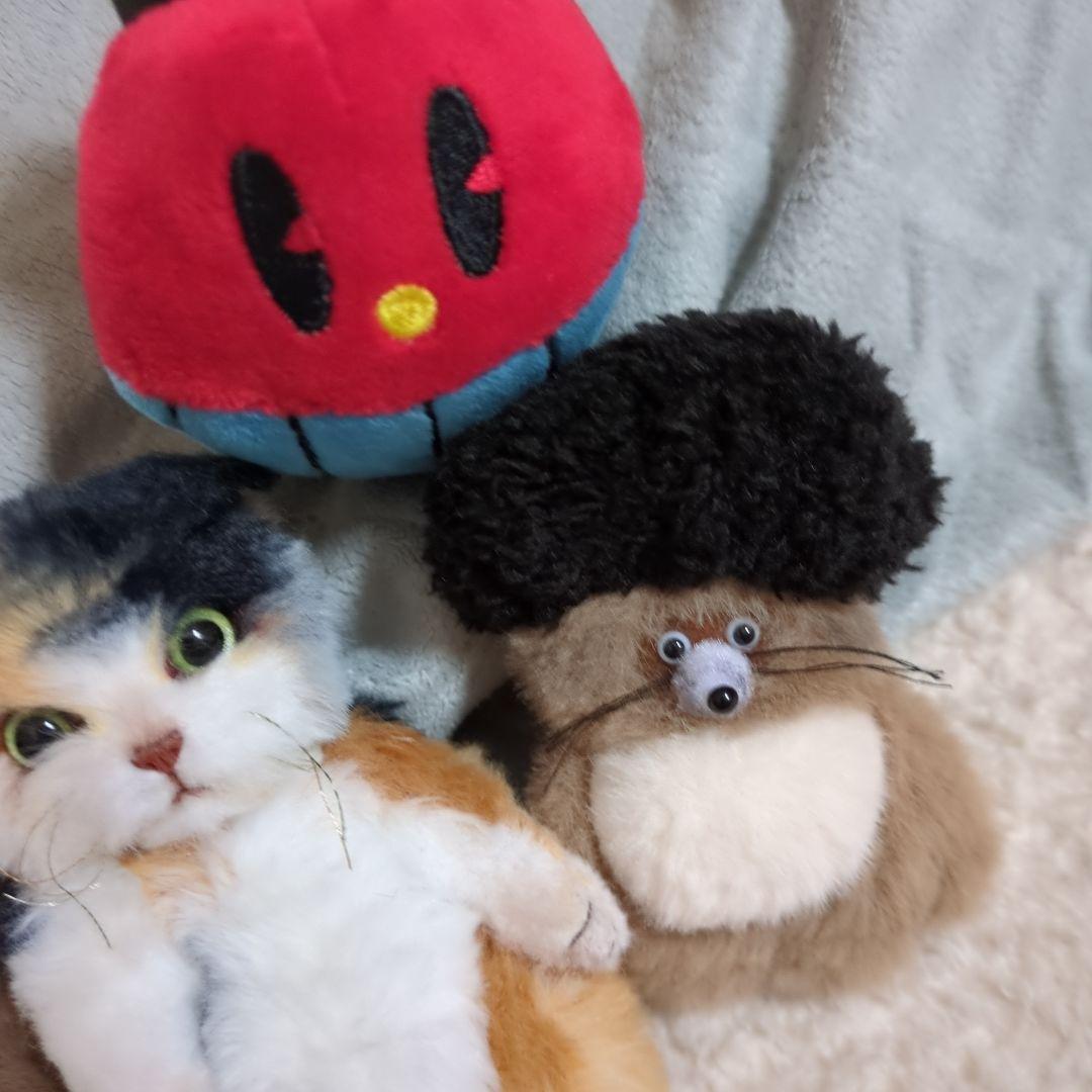 アートドール 作家 ハンドメイド 創作 国内 ぬいぐるみ たぬき 猫