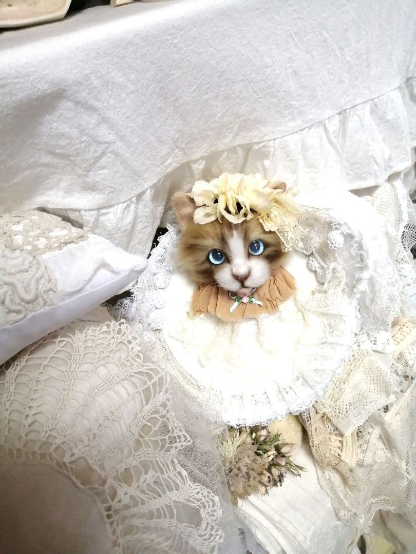 (ΦωΦ)(ΦωΦ)猫ねこちゃん♥トレー♥(ΦωΦ)(ΦωΦ)(ΦωΦ)猫♥