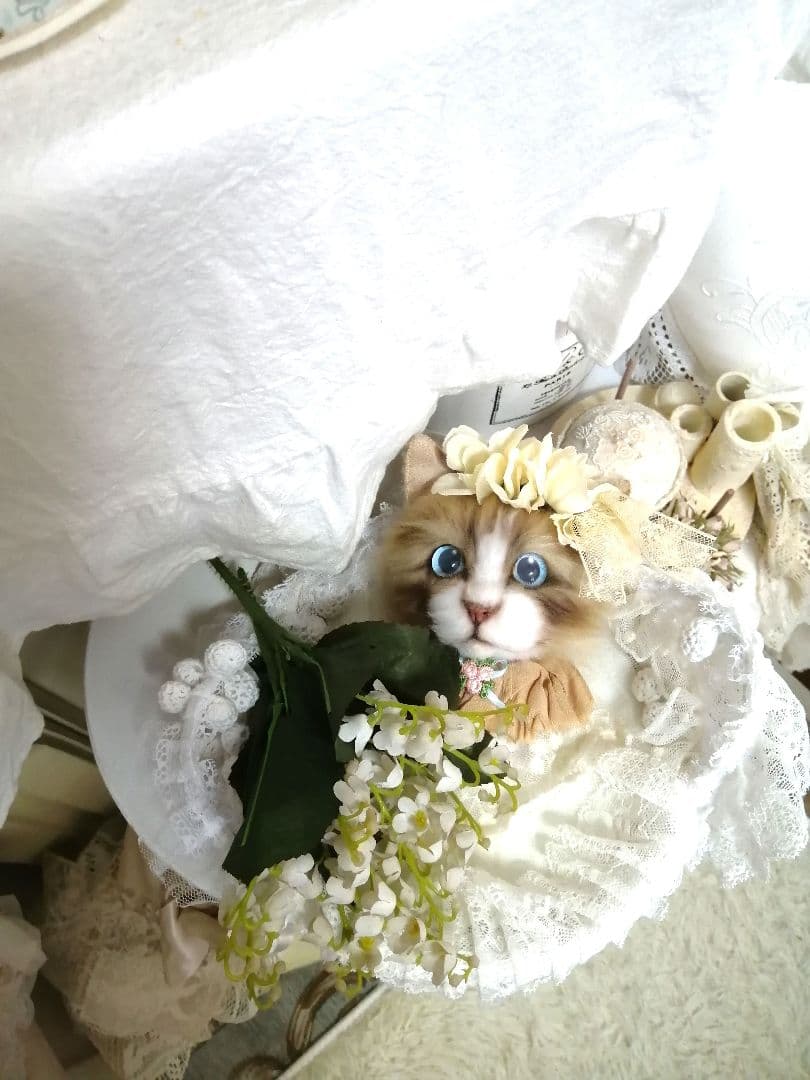 (ΦωΦ)(ΦωΦ)猫ねこちゃん♥トレー♥(ΦωΦ)(ΦωΦ)(ΦωΦ)猫♥