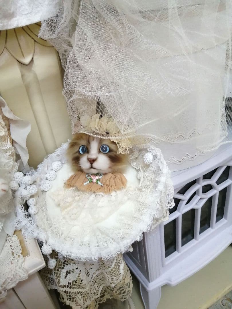 (ΦωΦ)(ΦωΦ)猫ねこちゃん♥トレー♥(ΦωΦ)(ΦωΦ)(ΦωΦ)猫♥