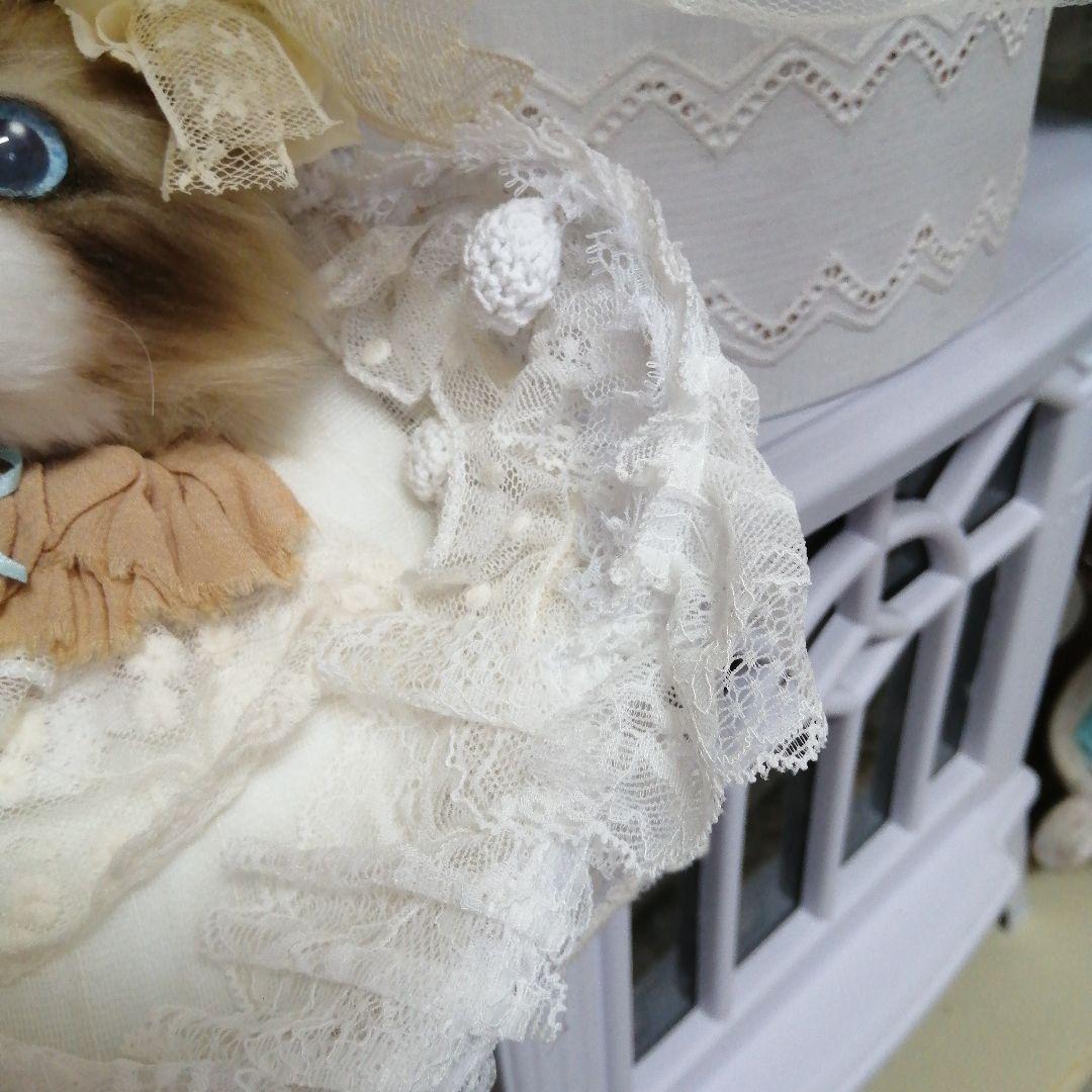 (ΦωΦ)(ΦωΦ)猫ねこちゃん♥トレー♥(ΦωΦ)(ΦωΦ)(ΦωΦ)猫♥