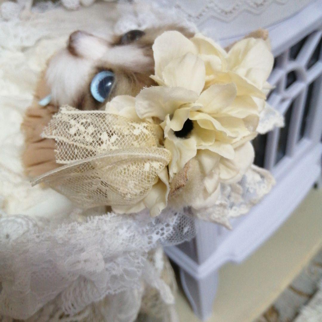 (ΦωΦ)(ΦωΦ)猫ねこちゃん♥トレー♥(ΦωΦ)(ΦωΦ)(ΦωΦ)猫♥