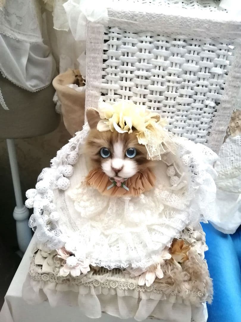 (ΦωΦ)(ΦωΦ)猫ねこちゃん♥トレー♥(ΦωΦ)(ΦωΦ)(ΦωΦ)猫♥