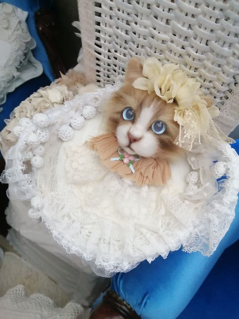 (ΦωΦ)(ΦωΦ)猫ねこちゃん♥トレー♥(ΦωΦ)(ΦωΦ)(ΦωΦ)猫♥