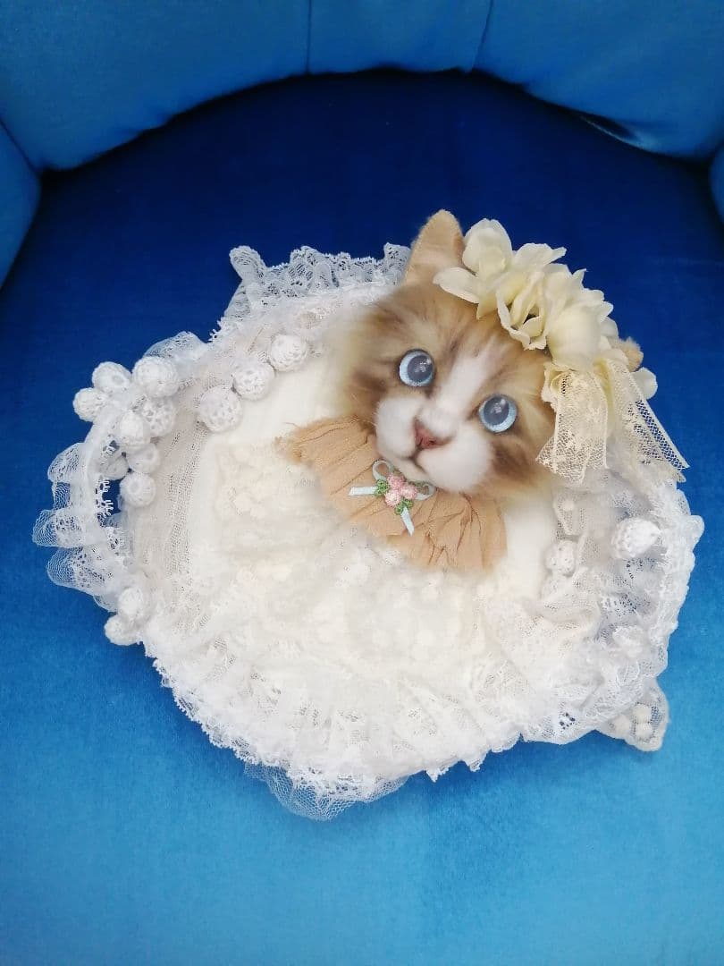 (ΦωΦ)(ΦωΦ)猫ねこちゃん♥トレー♥(ΦωΦ)(ΦωΦ)(ΦωΦ)猫♥