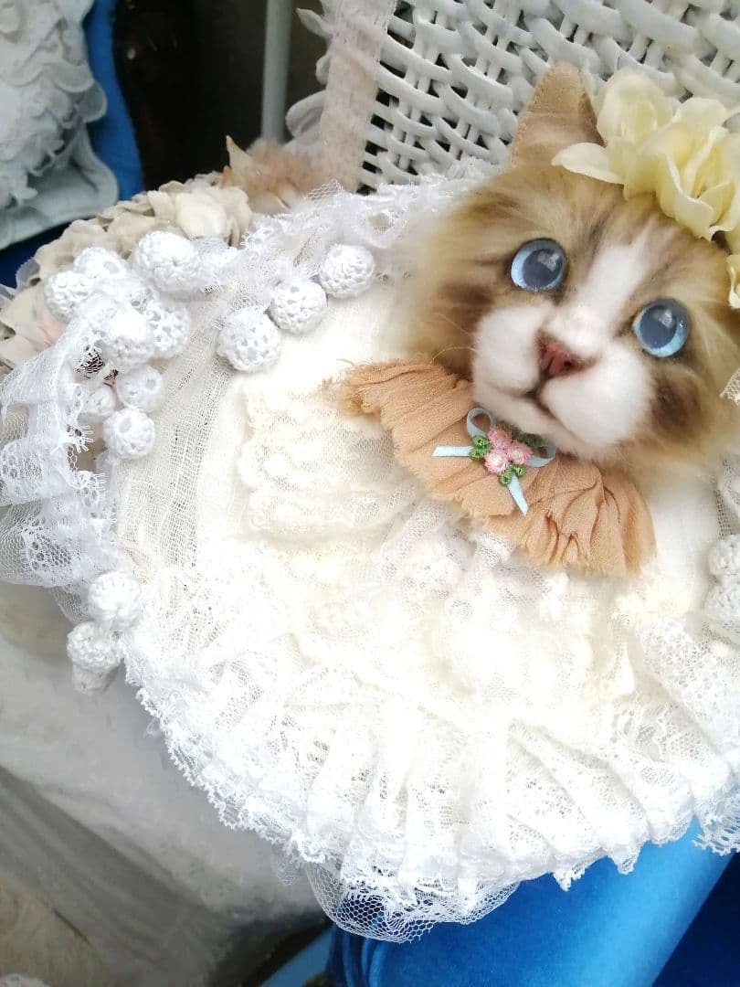 (ΦωΦ)(ΦωΦ)猫ねこちゃん♥トレー♥(ΦωΦ)(ΦωΦ)(ΦωΦ)猫♥