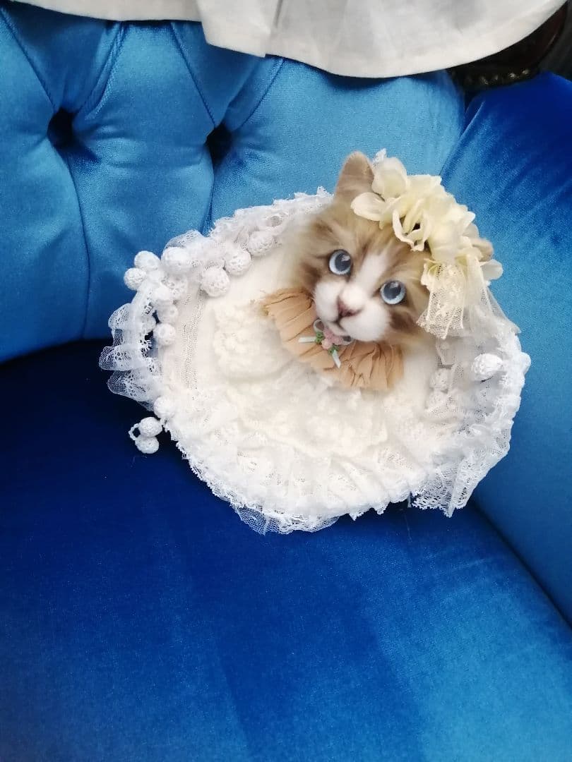 (ΦωΦ)(ΦωΦ)猫ねこちゃん♥トレー♥(ΦωΦ)(ΦωΦ)(ΦωΦ)猫♥