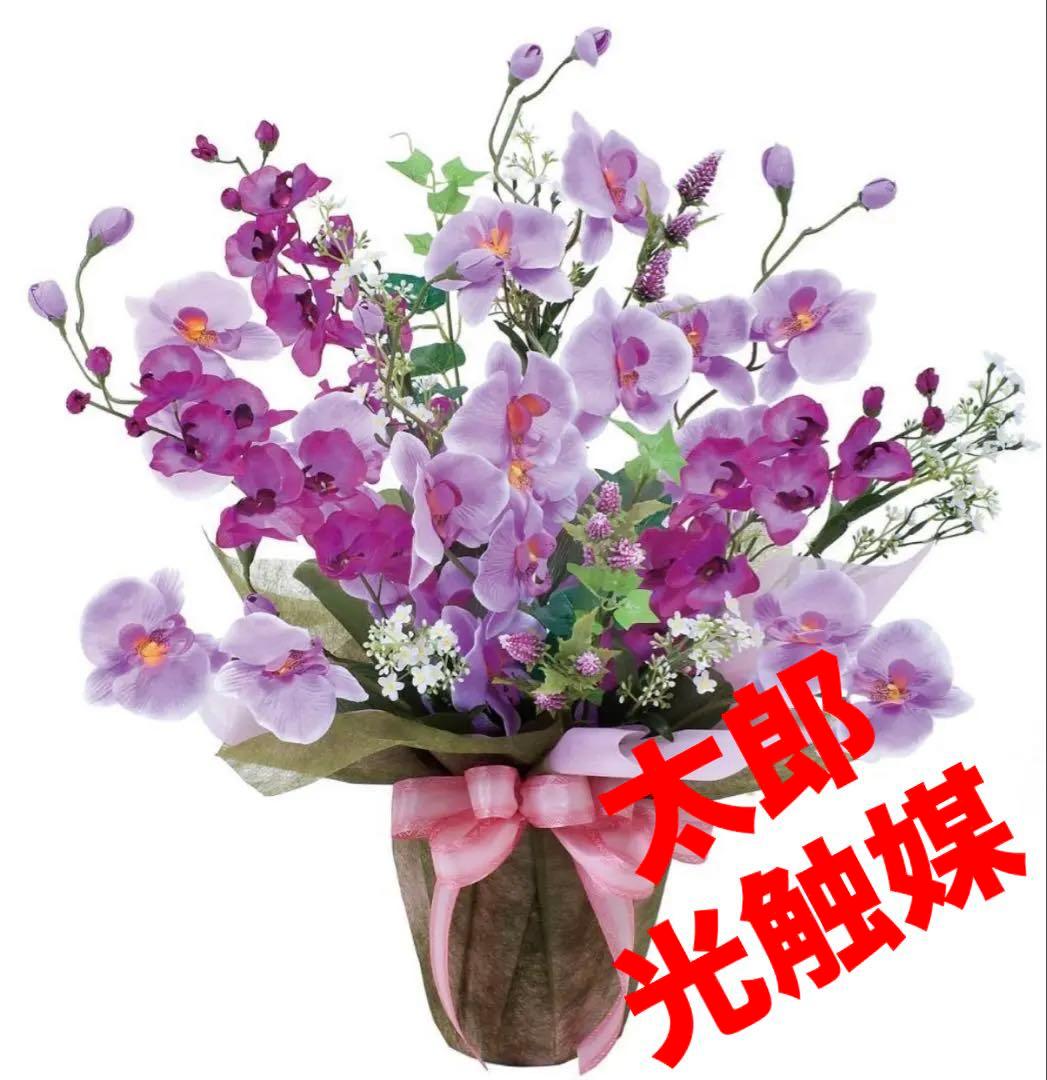 光触媒　人工観葉植物　ウォールグリーン　フェイクグリーン　ツインコチョウラン