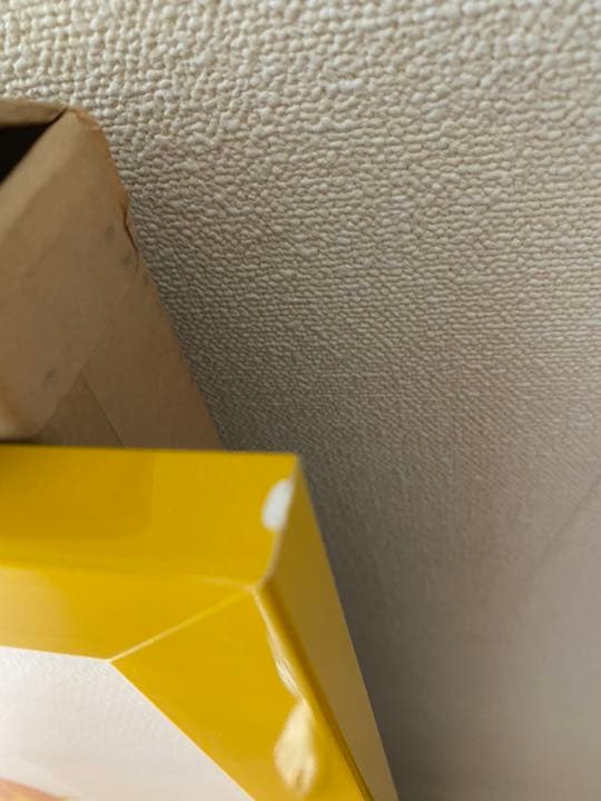 TOM EVERHART トムエバハート リトグラフ スヌーピー　大型　美品