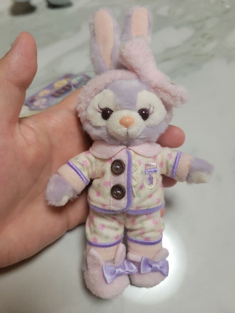 ダッフィーフレンズ　オータムスリープオーバー　ぬいぐるみバッジ