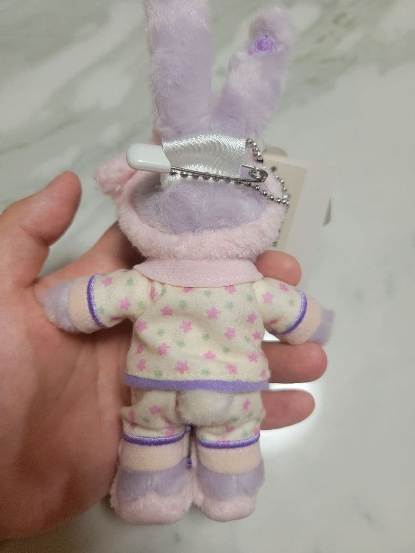 ダッフィーフレンズ　オータムスリープオーバー　ぬいぐるみバッジ