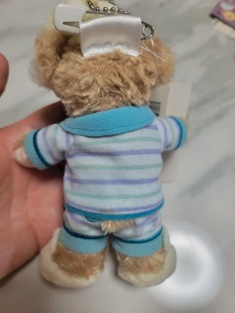 ダッフィーフレンズ　オータムスリープオーバー　ぬいぐるみバッジ