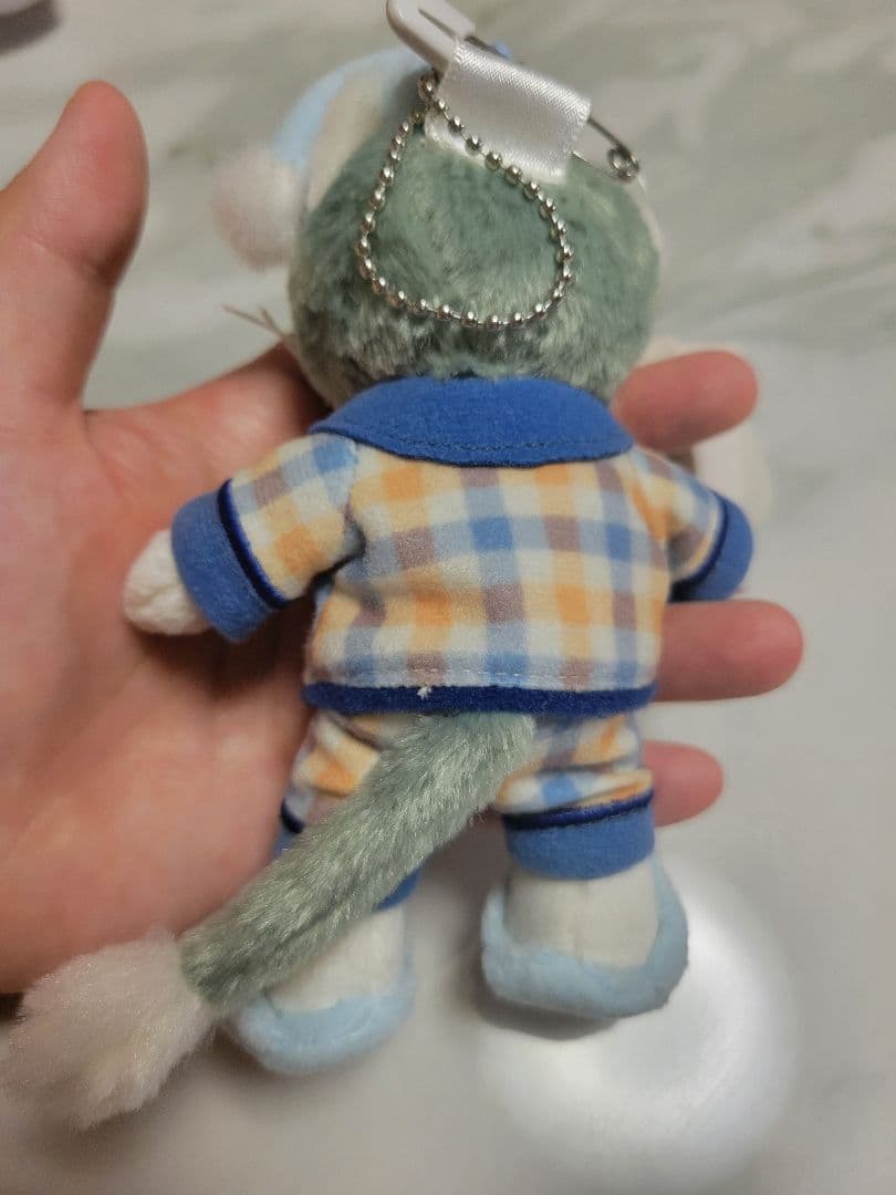 ダッフィーフレンズ　オータムスリープオーバー　ぬいぐるみバッジ