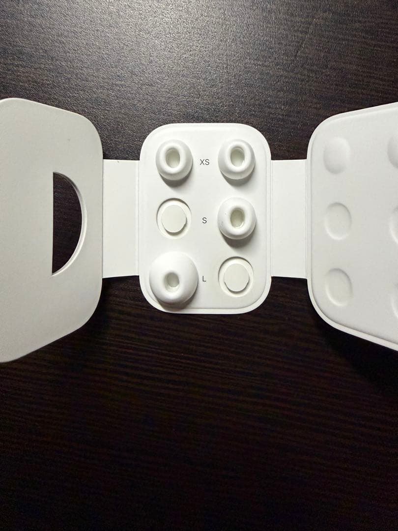AirPods Pro 2（lightning）