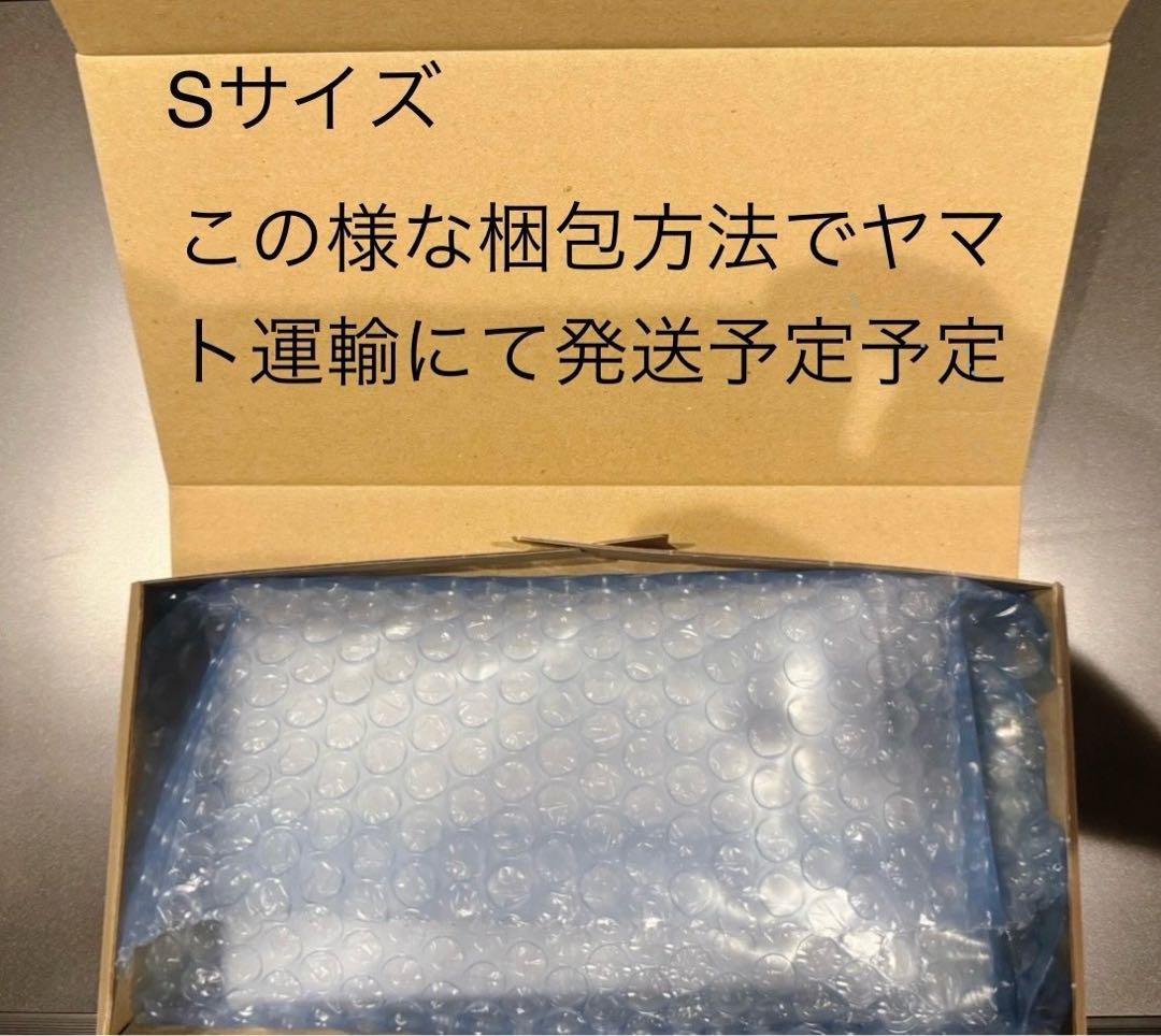 PSA10 #195 バルデアの仲間たち 9936