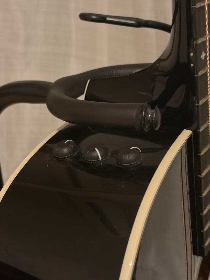 Taylor 214ce-BLK DLX テイラー アコギ　エレアコギター　希少