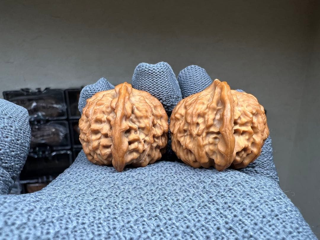 文玩堂：ライチ紋獅子頭（ししがしら）文玩クルミ（ハイグレード品）夢幻の皮質