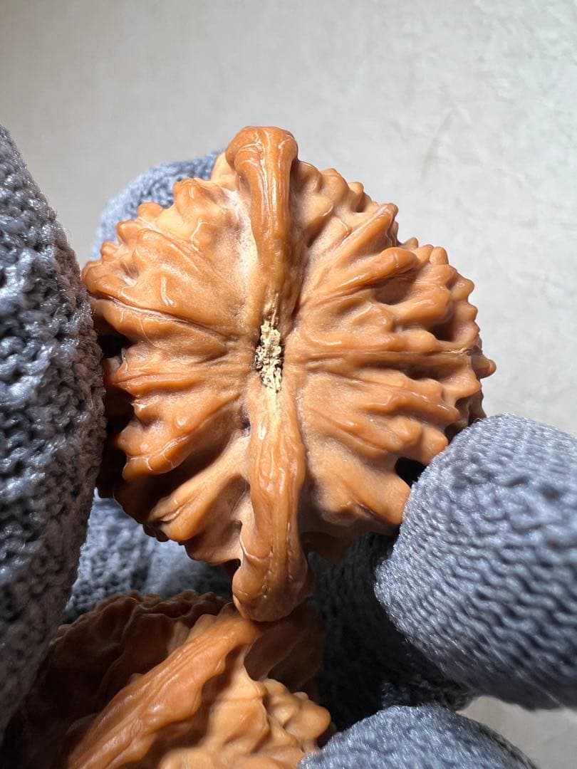 文玩堂：ライチ紋獅子頭（ししがしら）文玩クルミ（ハイグレード品）夢幻の皮質