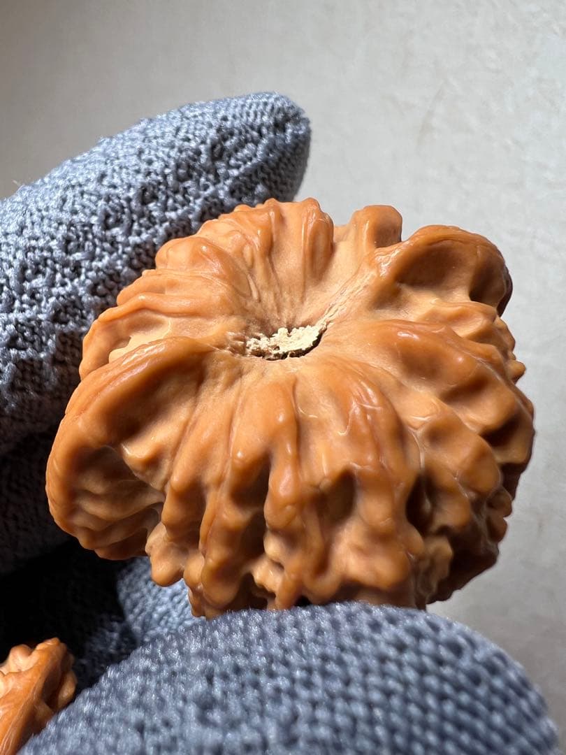 文玩堂：ライチ紋獅子頭（ししがしら）文玩クルミ（ハイグレード品）夢幻の皮質