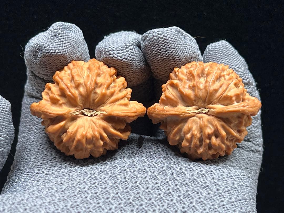 文玩堂：ライチ紋獅子頭（ししがしら）文玩クルミ（ハイグレード品）夢幻の皮質