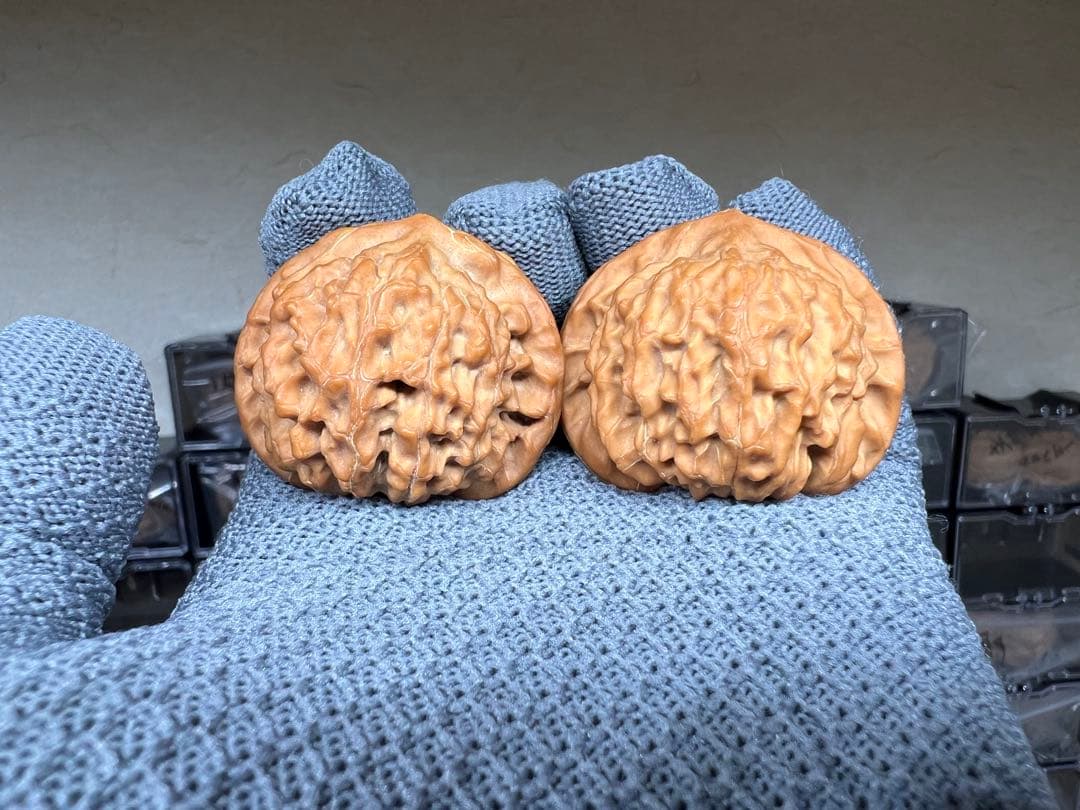 文玩堂：ライチ紋獅子頭（ししがしら）文玩クルミ（ハイグレード品）夢幻の皮質