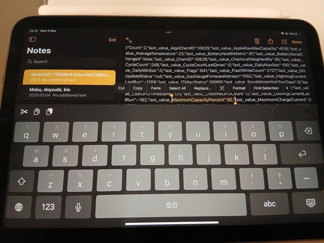 iPad本体 iPad mini 6th generation