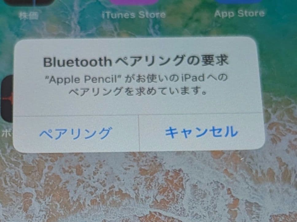 【動作確認済み】 Apple Pencil アップルペンシル 第1世代
